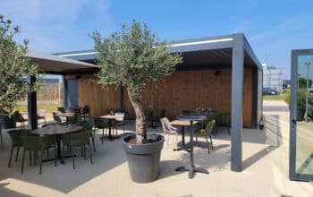 pergola de la terrasse de La Pala à Angers