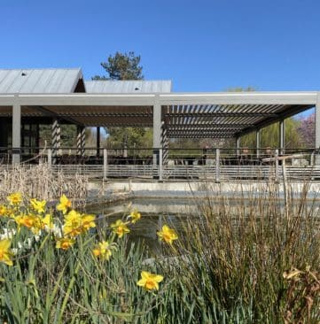 pergola bioclimatique pour parc de loisirs 49