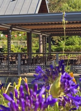 pergola bioclimatique du restaurant de Terra Botanica (49)