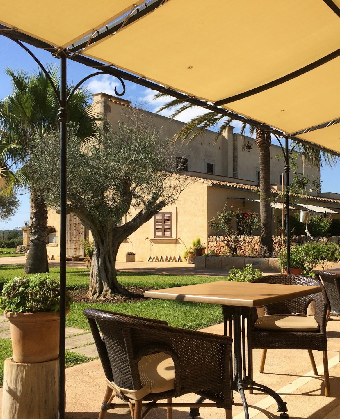 auvent de terrasse